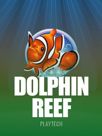 Dolphin Reef